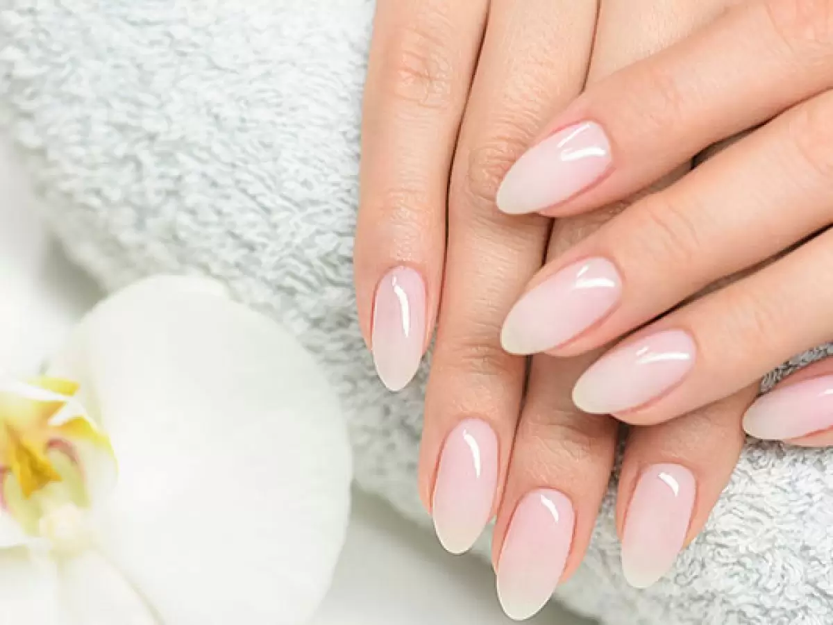 Gölova Protez Tırnak